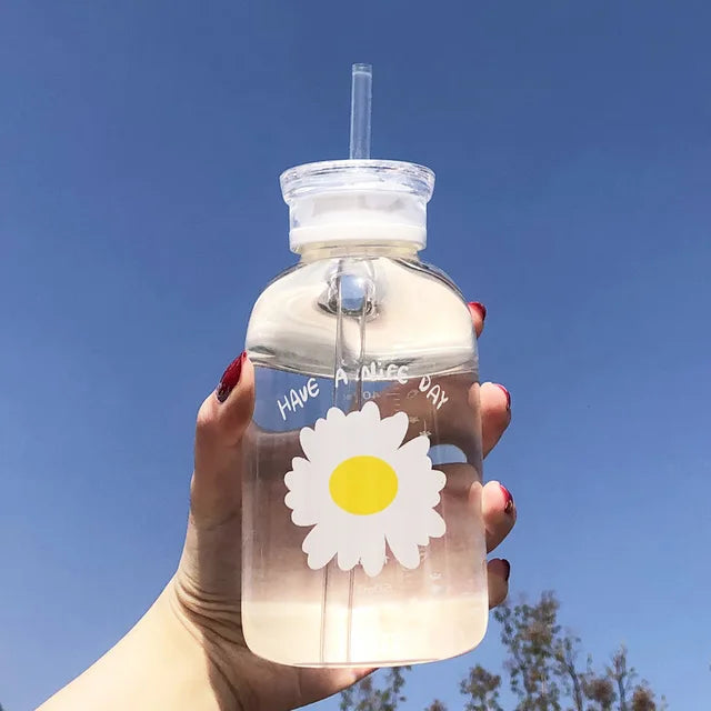 480Ml Water Bottle Small Daisy Milk Juice Cute Kawaii Frosted Glass Bottle with Straw Drinking Cups with Scale 2 Lids