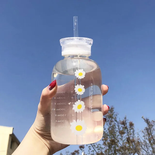 480Ml Water Bottle Small Daisy Milk Juice Cute Kawaii Frosted Glass Bottle with Straw Drinking Cups with Scale 2 Lids