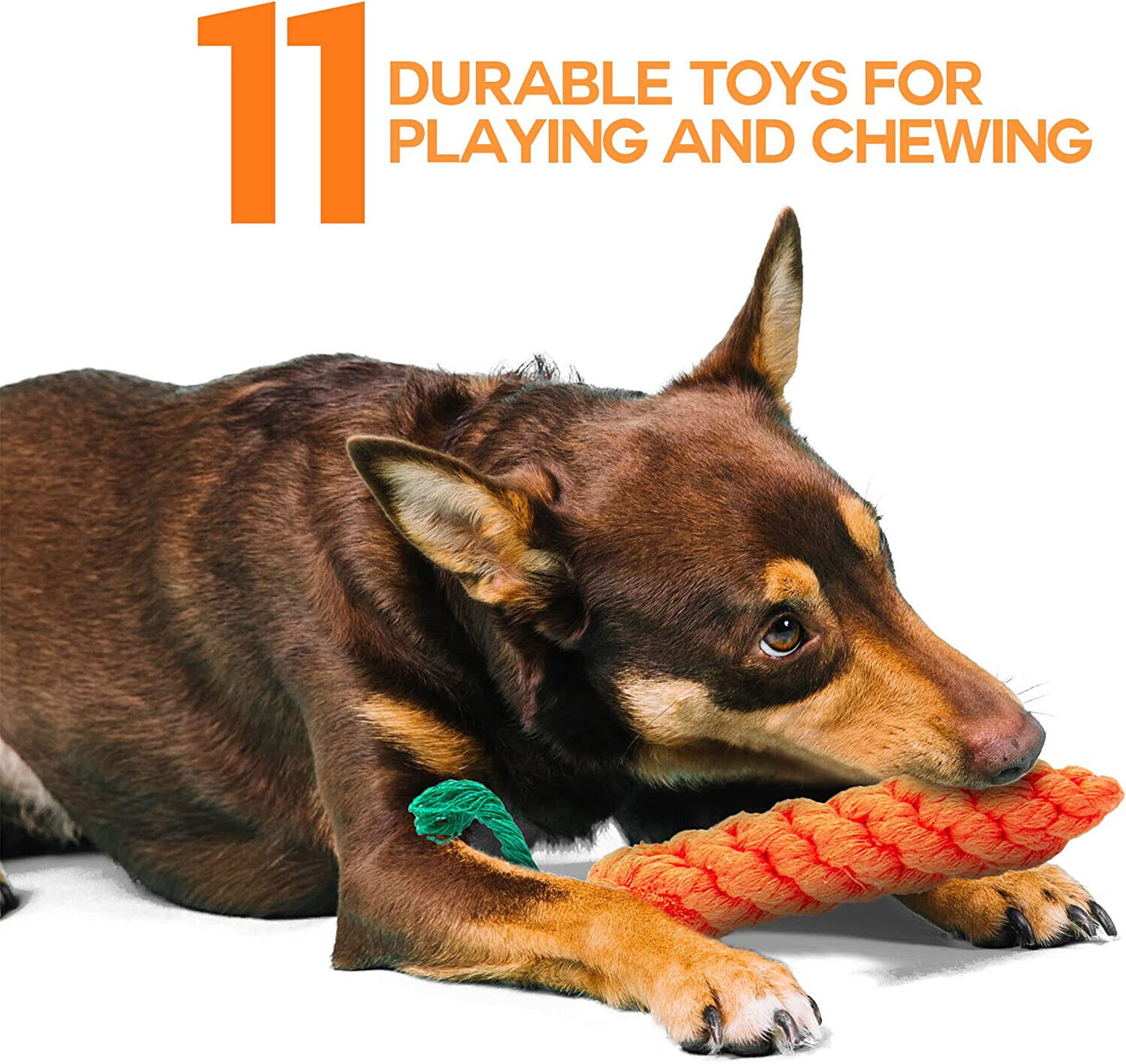 Ultimate 10-Piece Dog Rope Toy Set: Durable Chew Knot Toys for Puppies and Bears