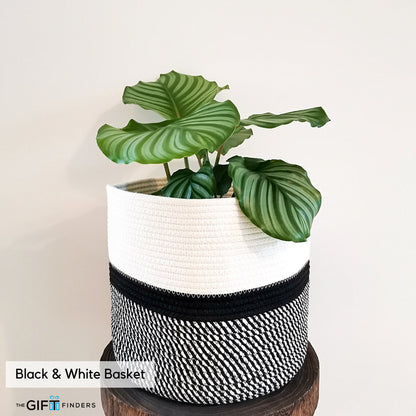 WOVEN Plant Basket