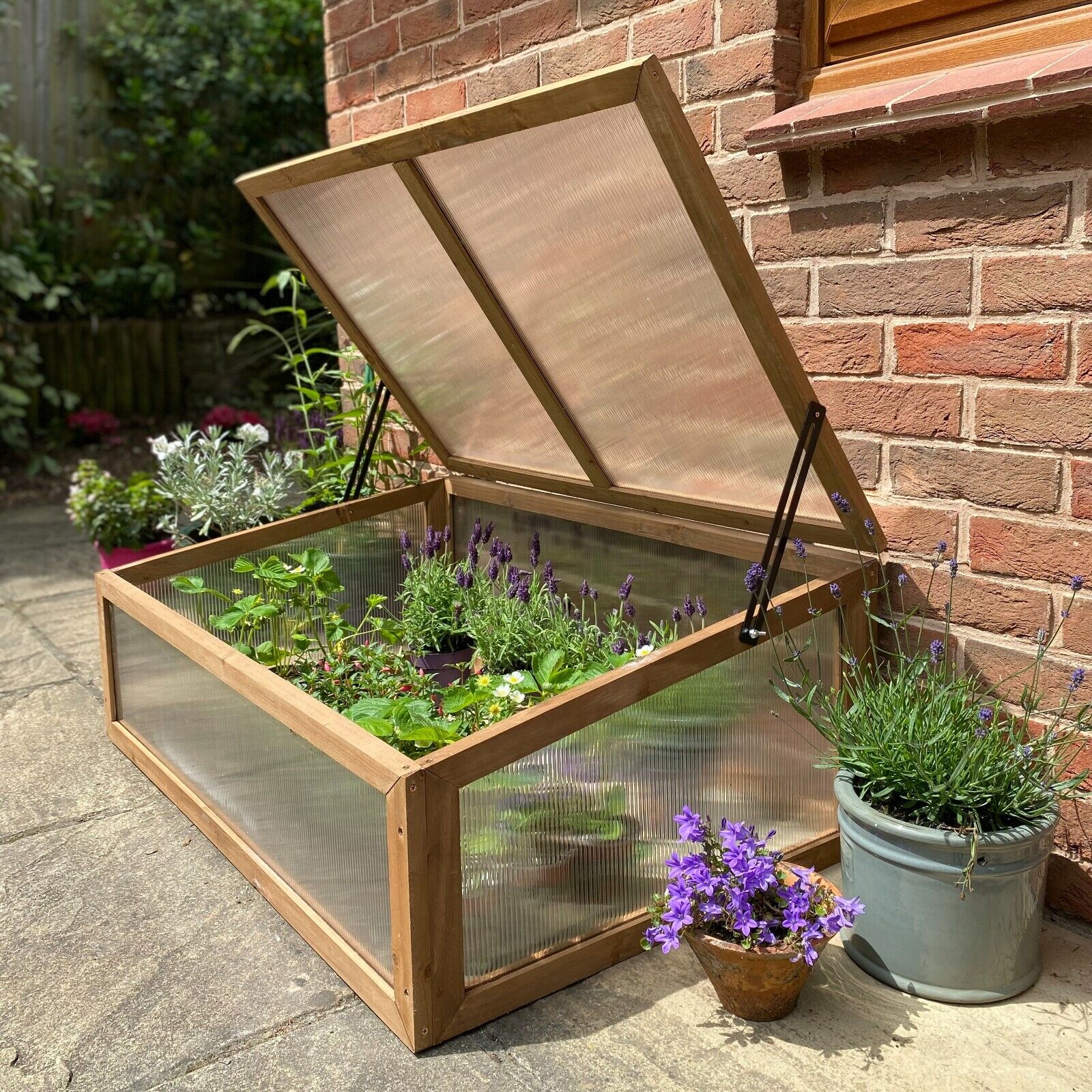 Wooden Cold Frame Greenhouse with Twin-Walled Polycarbonate Panels and Hinged Top