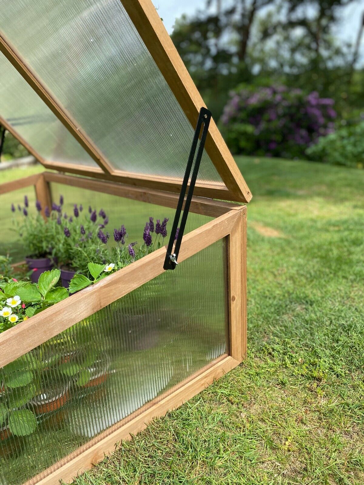 Wooden Cold Frame Greenhouse with Twin-Walled Polycarbonate Panels and Hinged Top