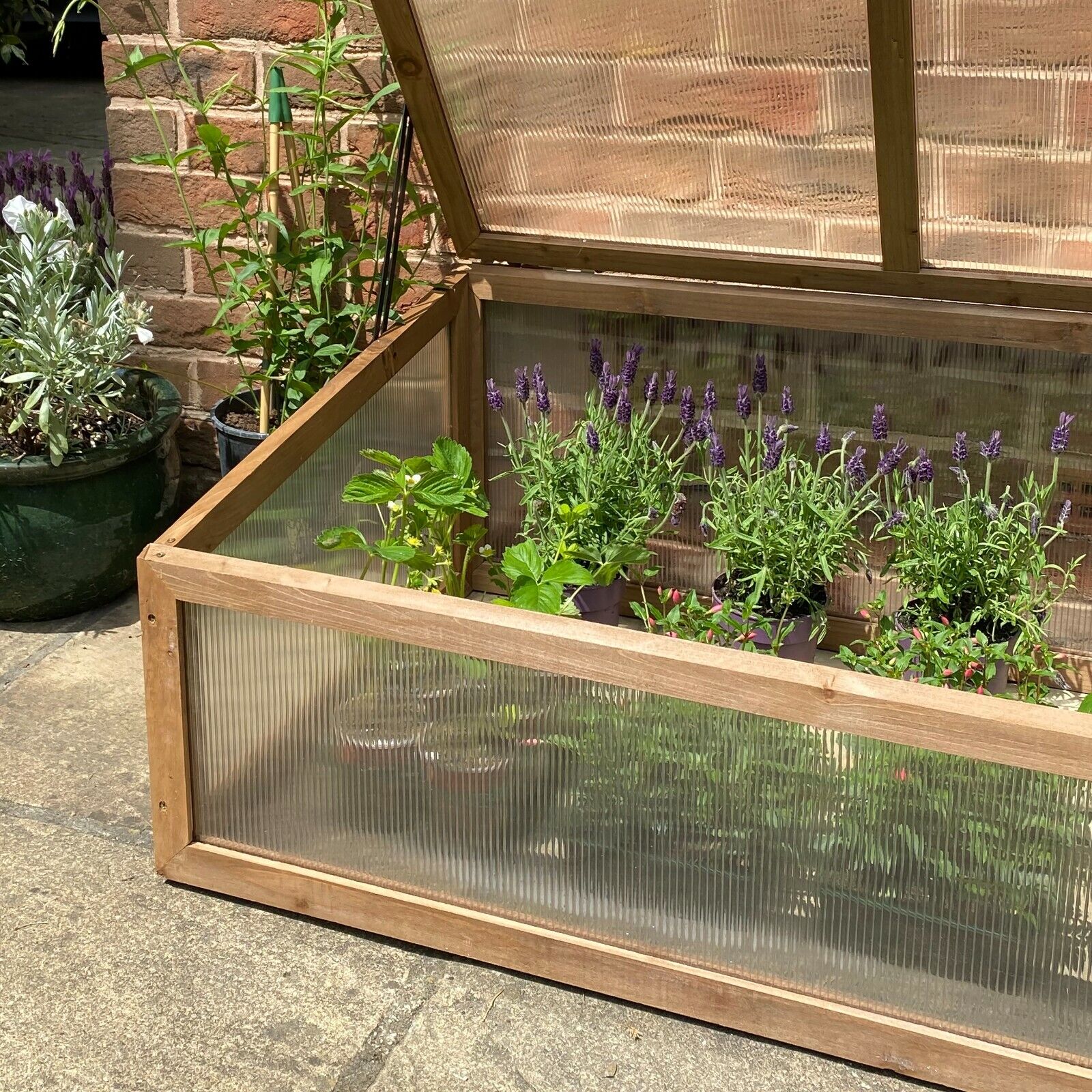 Wooden Cold Frame Greenhouse with Twin-Walled Polycarbonate Panels and Hinged Top